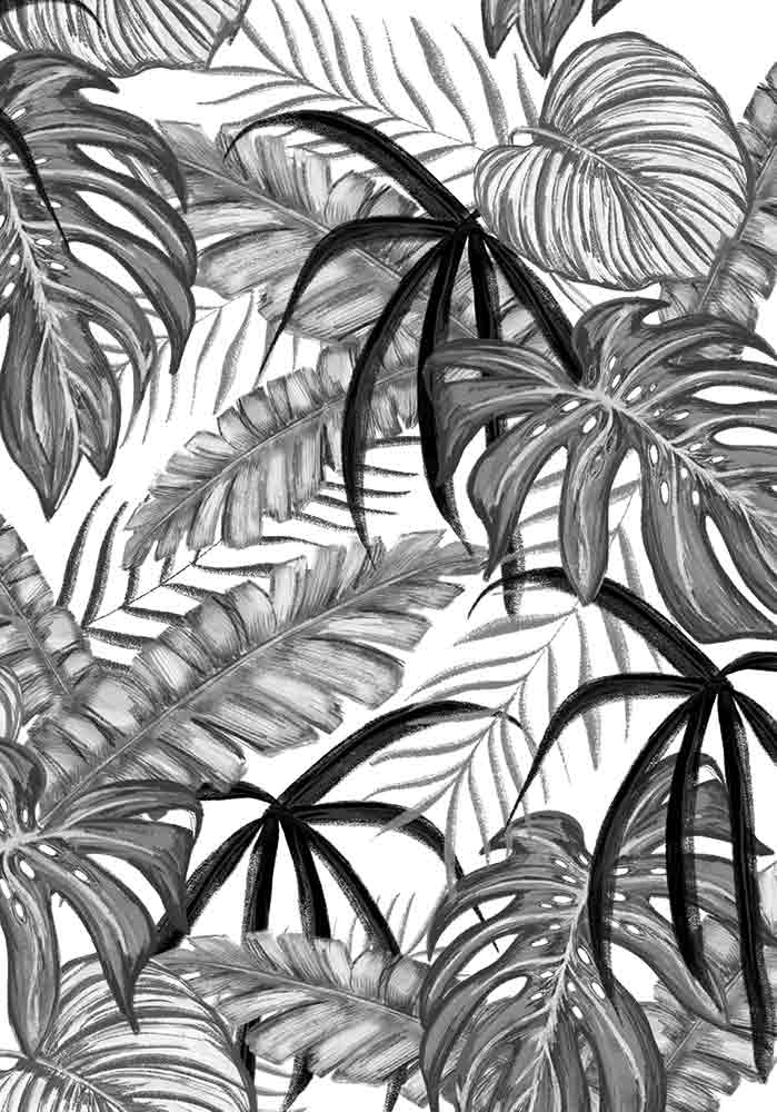 Dessin jungle noir et blanc feuilles de plantes tropicales Décor mural