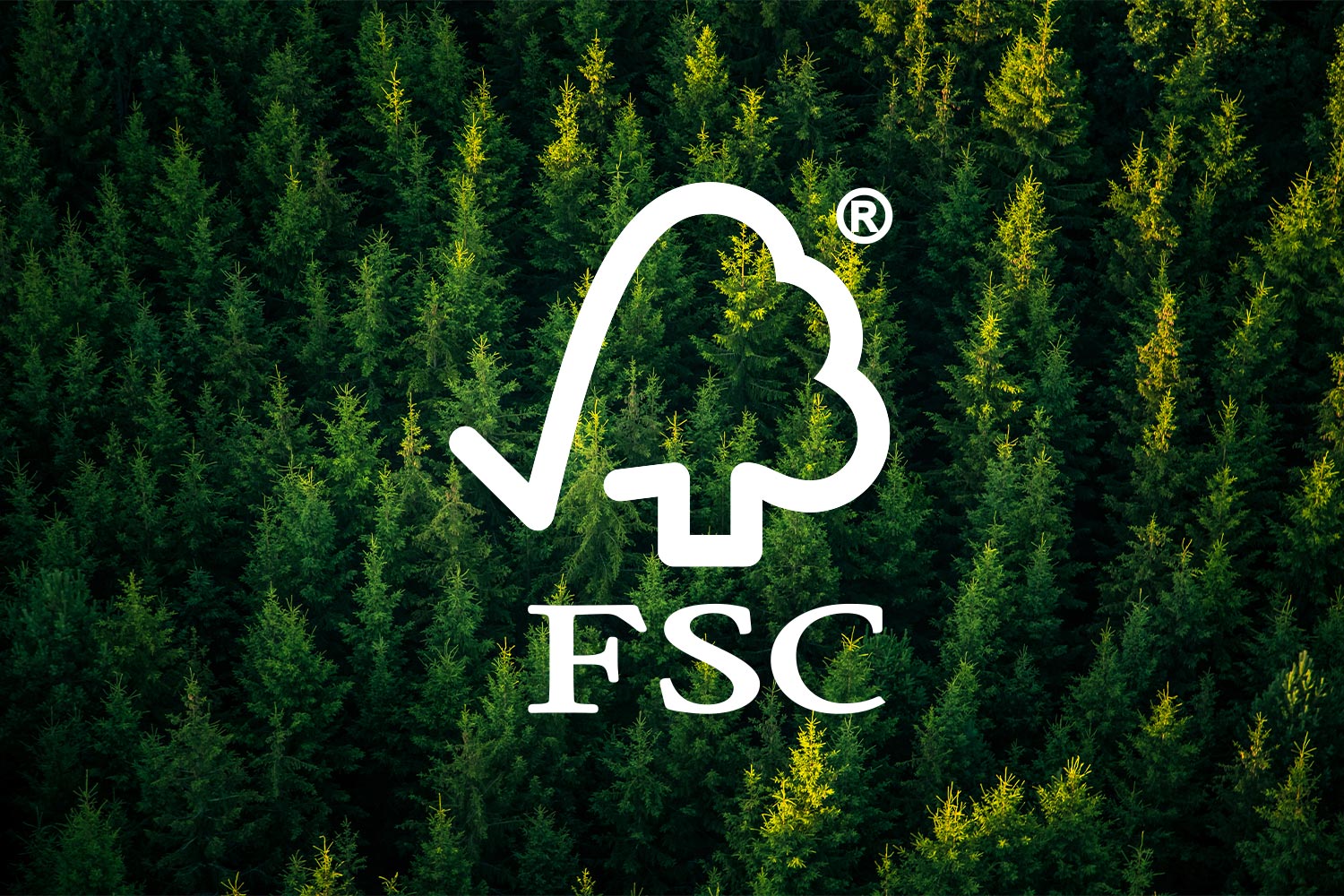 Le FSC (Forest Stewardship Council)