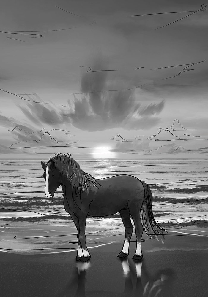 Noir et blanc beau cheval crinière au vent océan Décoration murs