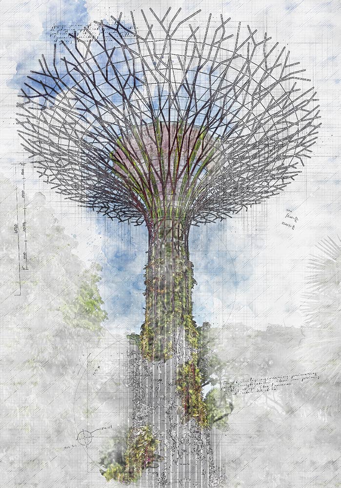Affiches Supertree Grove Singapour Poster bureau Garden by the bay
