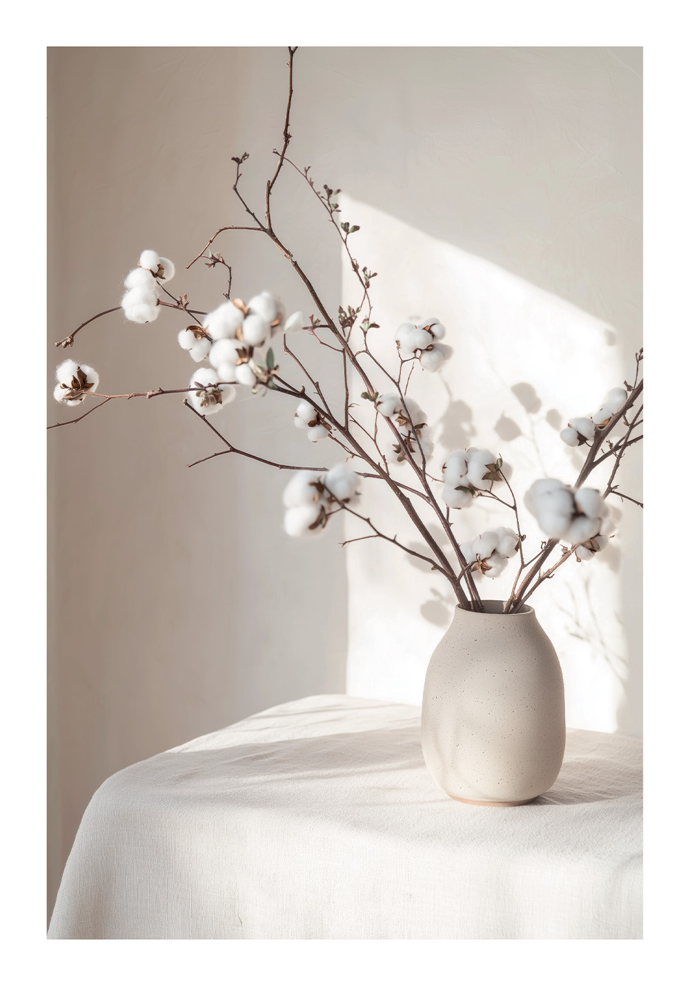 Affiche fleur de coton