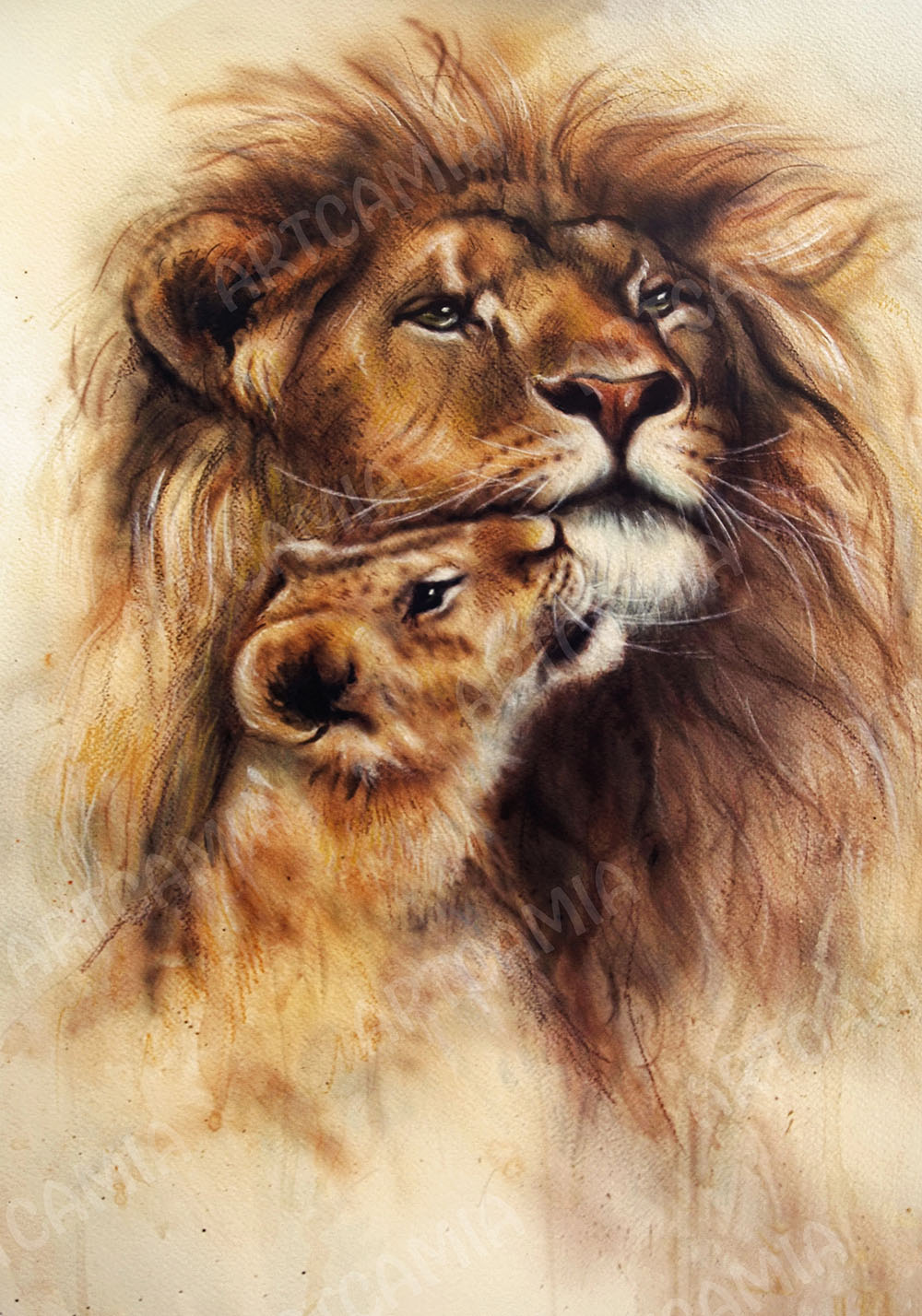 Affiche lion et lionceau