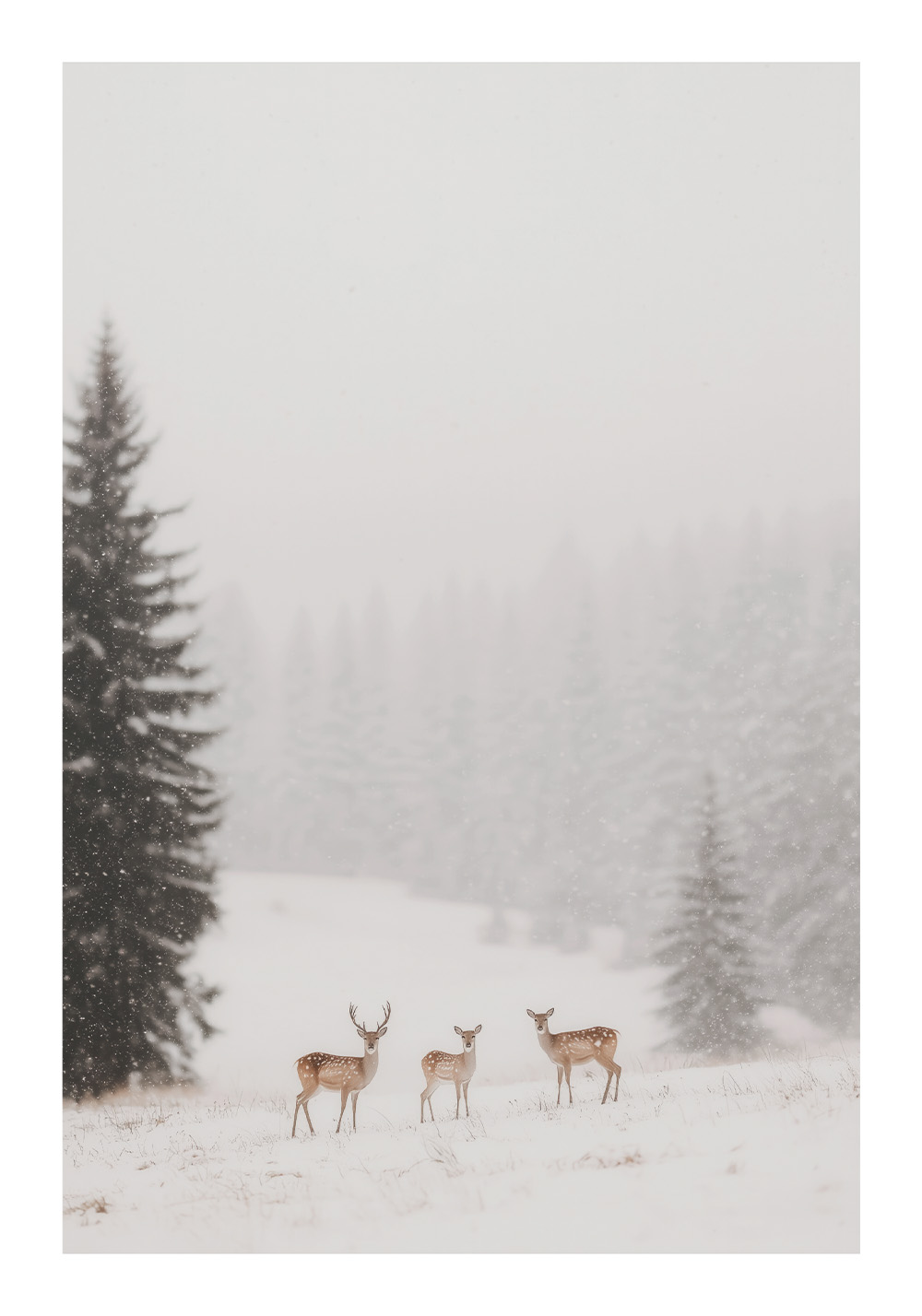 Affiche paysage hiver