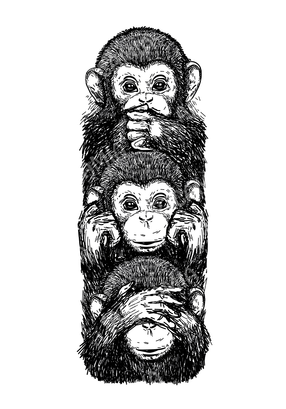 Affiche singes de la sagesse