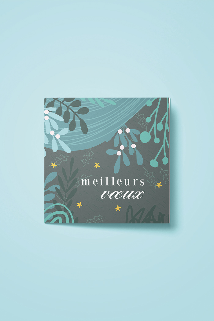 Carte fêtes meilleurs voeux Carte fêtes meilleurs voeux