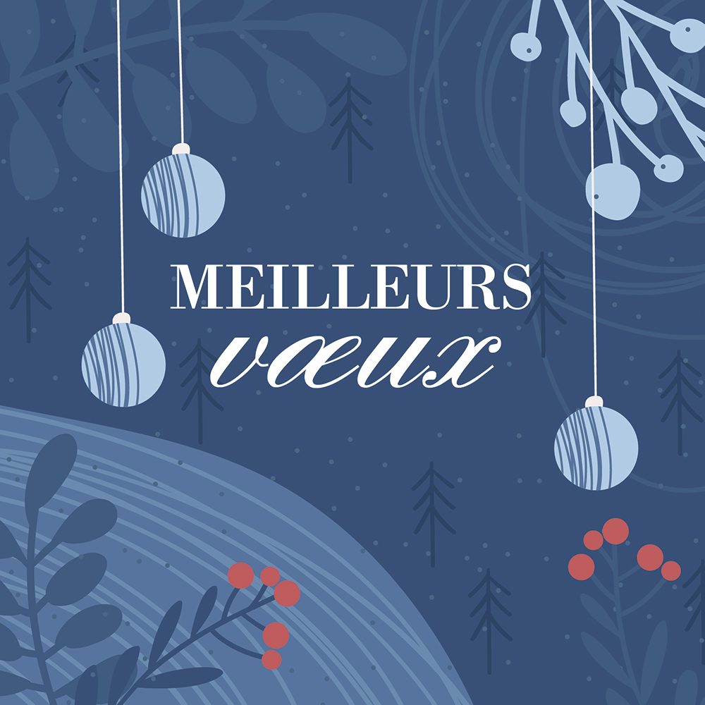 Carte meilleurs voeux 2023 floral bleu 15x15