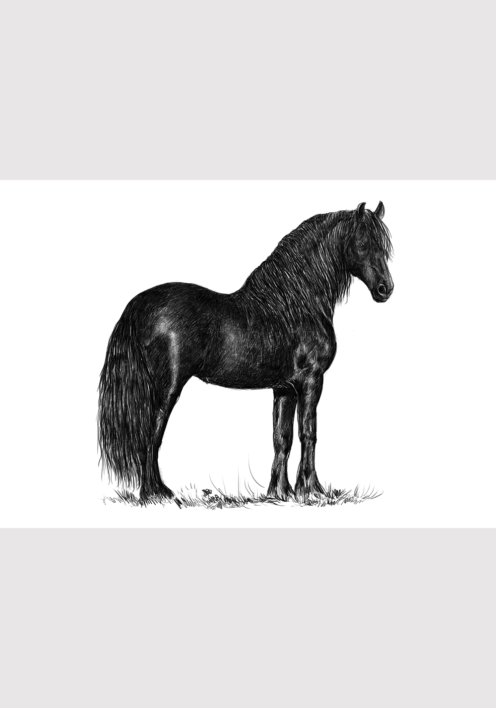 Cheval Frison Poster mural séjour