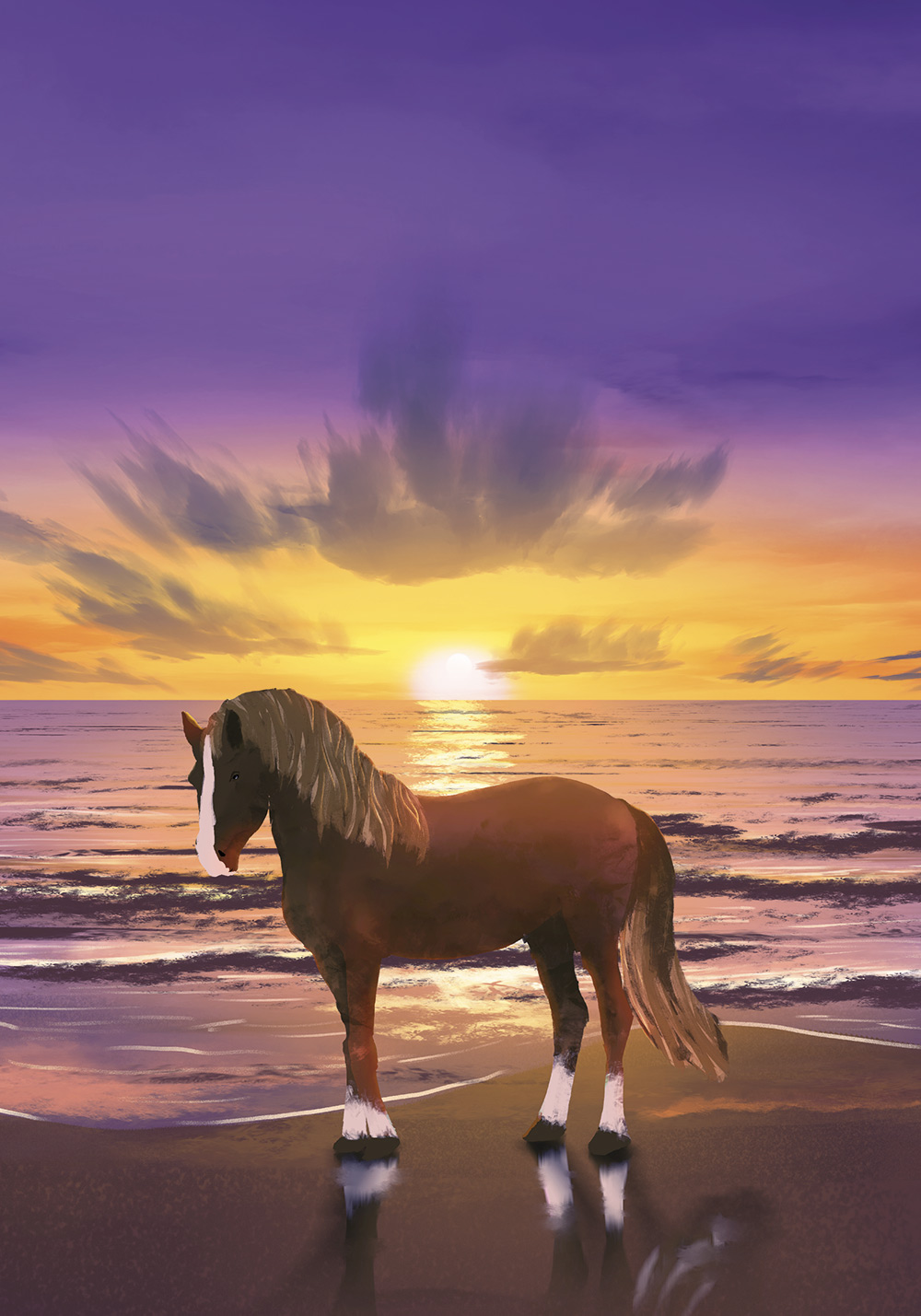 Poster cheval plage qui se repose fond violet Affiche murale