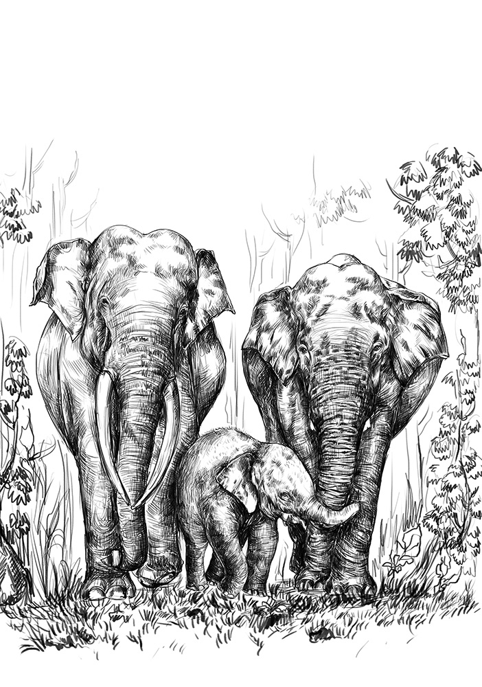 Gros pachyderme éléphant trompe eau baignade Poster salon