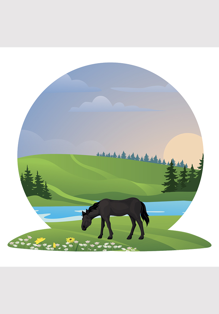 Illustration cheval qui broute dans son pré Poster