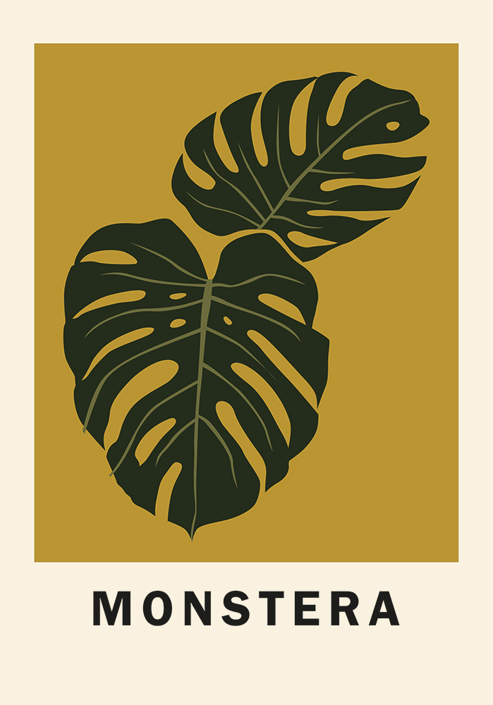 Illustration plante intérieur grimpante monstera Décor mural cuisine