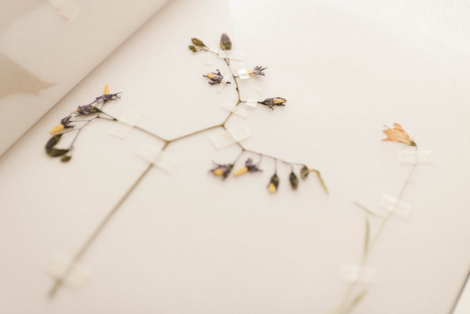 Décoration mur fleur
