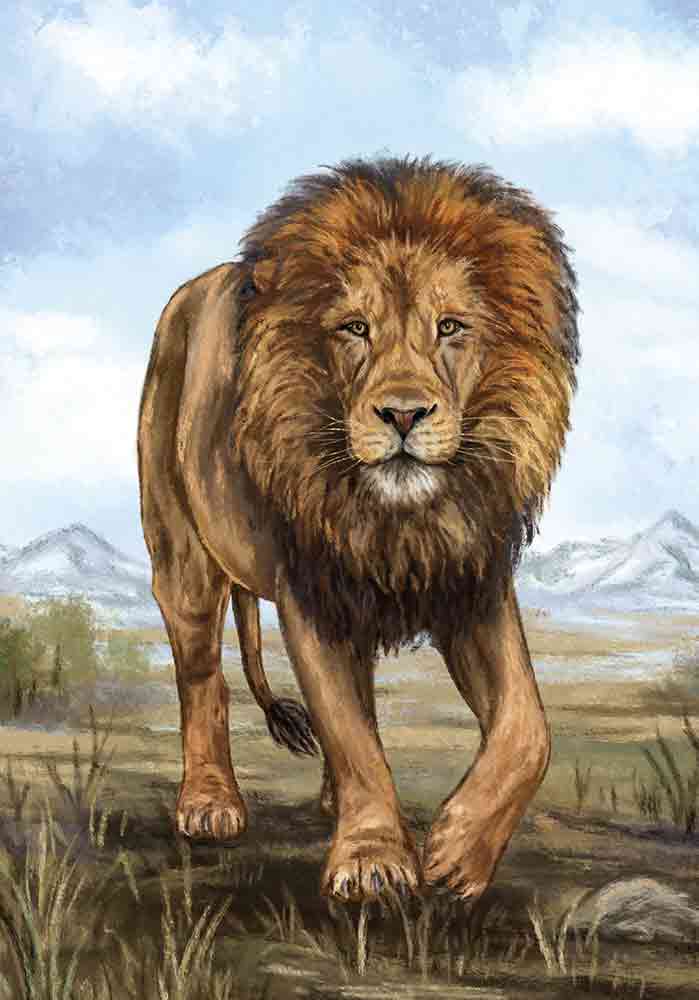 Lion grand carnivore de la savane Affiche murale entrée