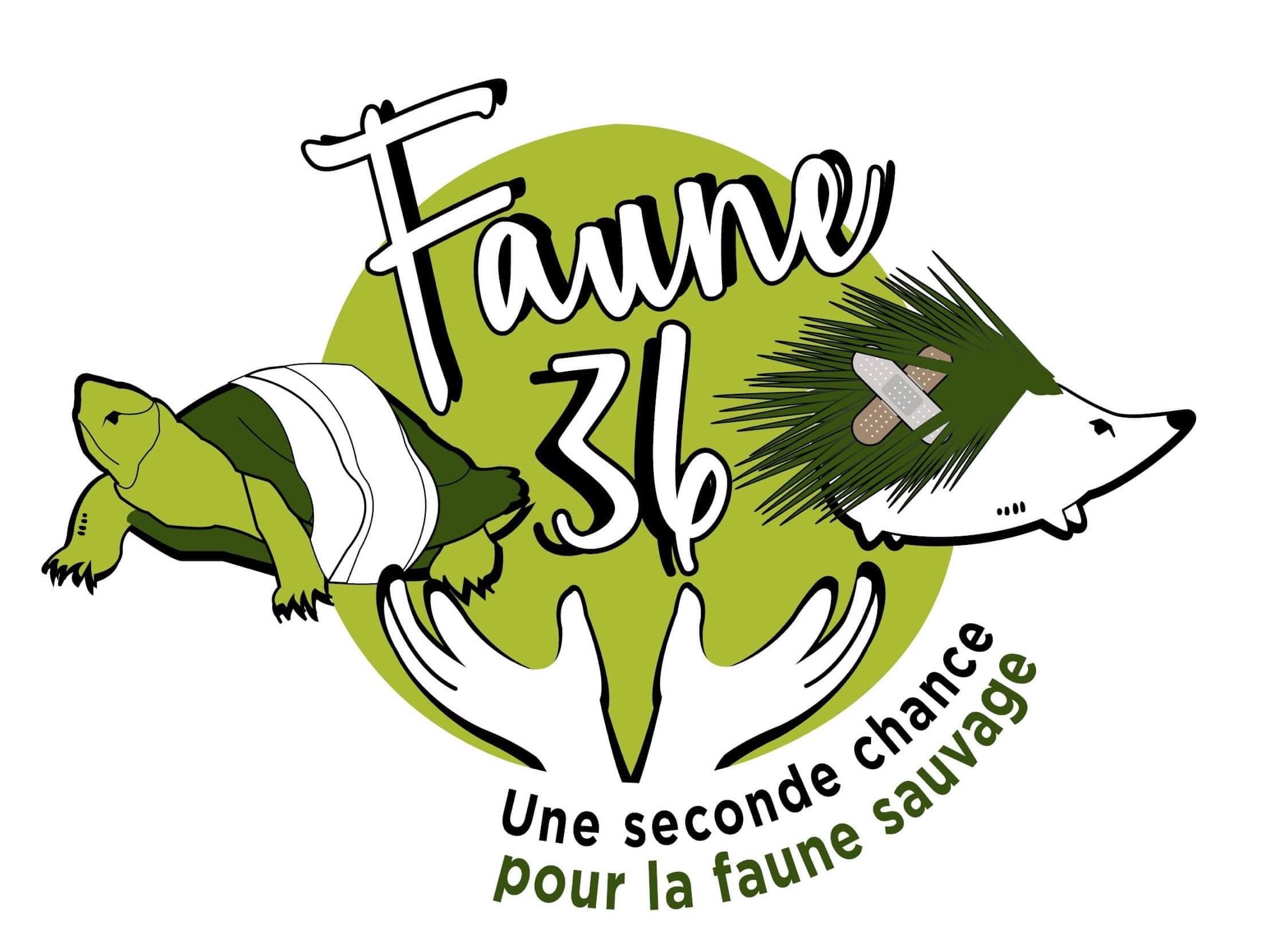 Logo faune36