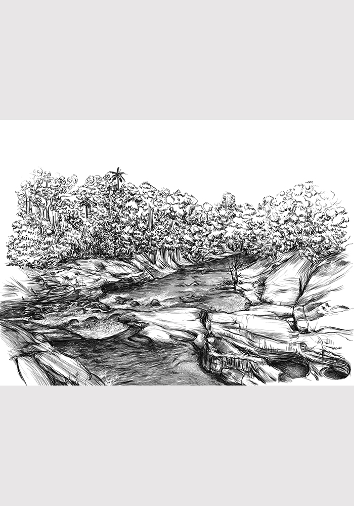 Paysage Sri Lanka dessin au crayon noir et blanc Affiche