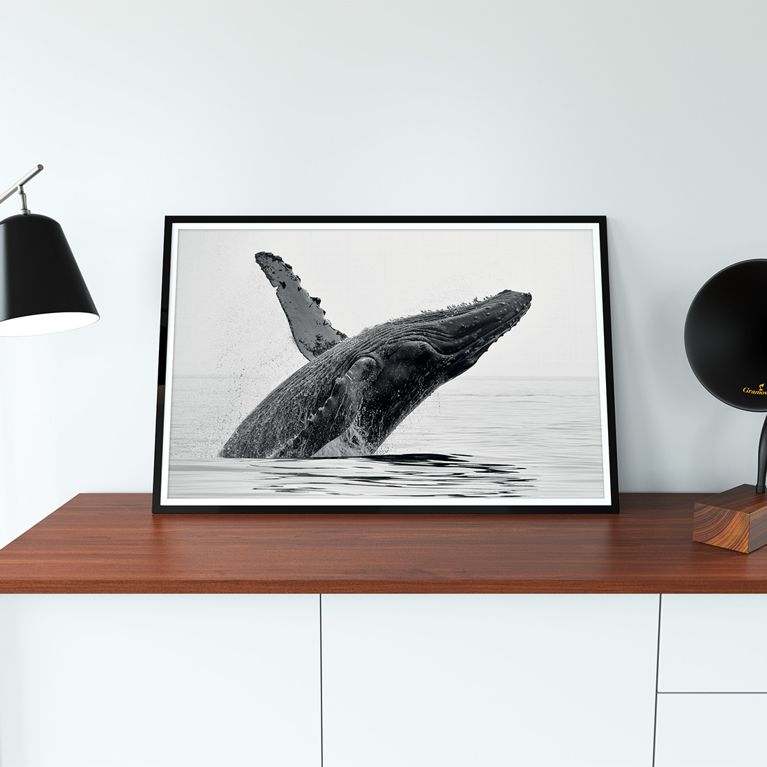 Photo baleine Photo baleine