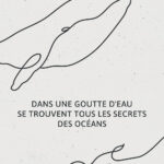 Poster citation