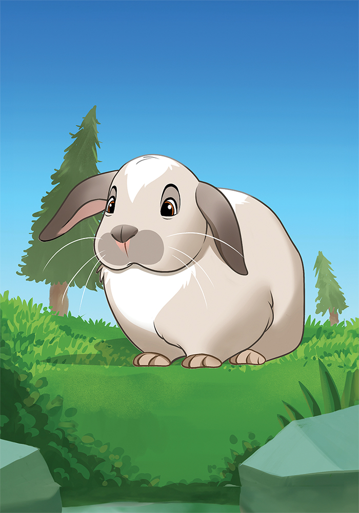 Affiche lapin