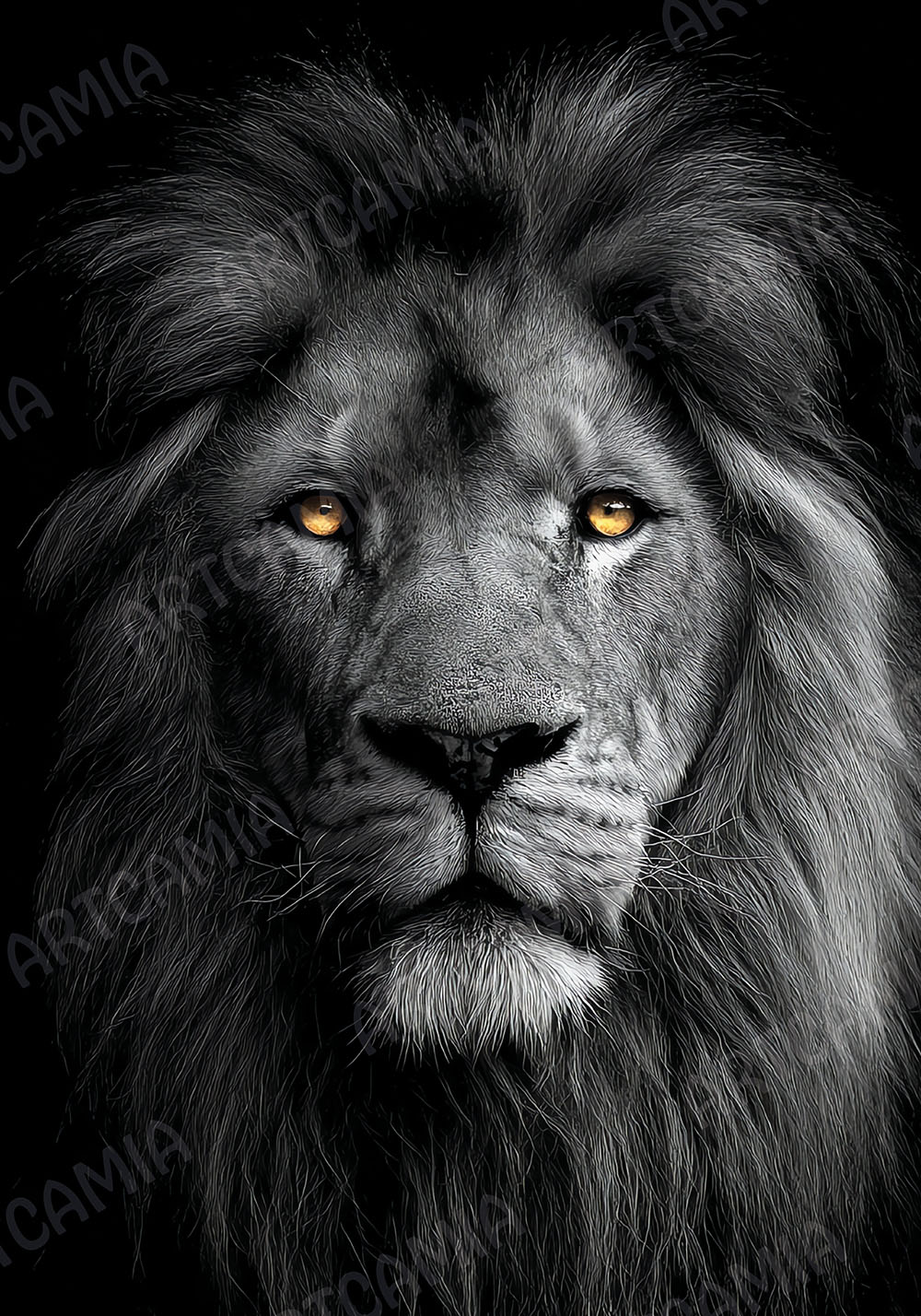 Poster lion noir et blanc