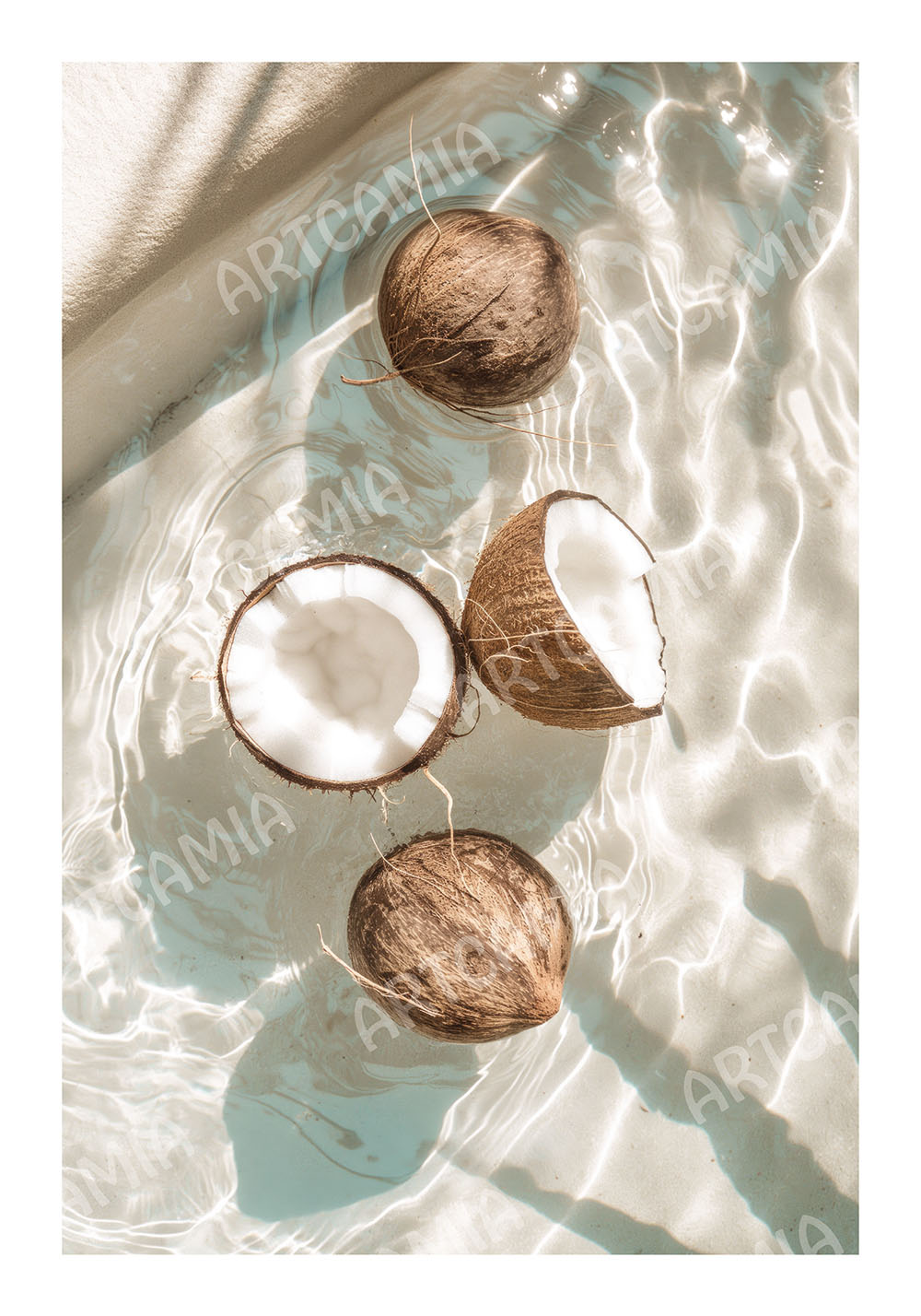 Poster noix de coco