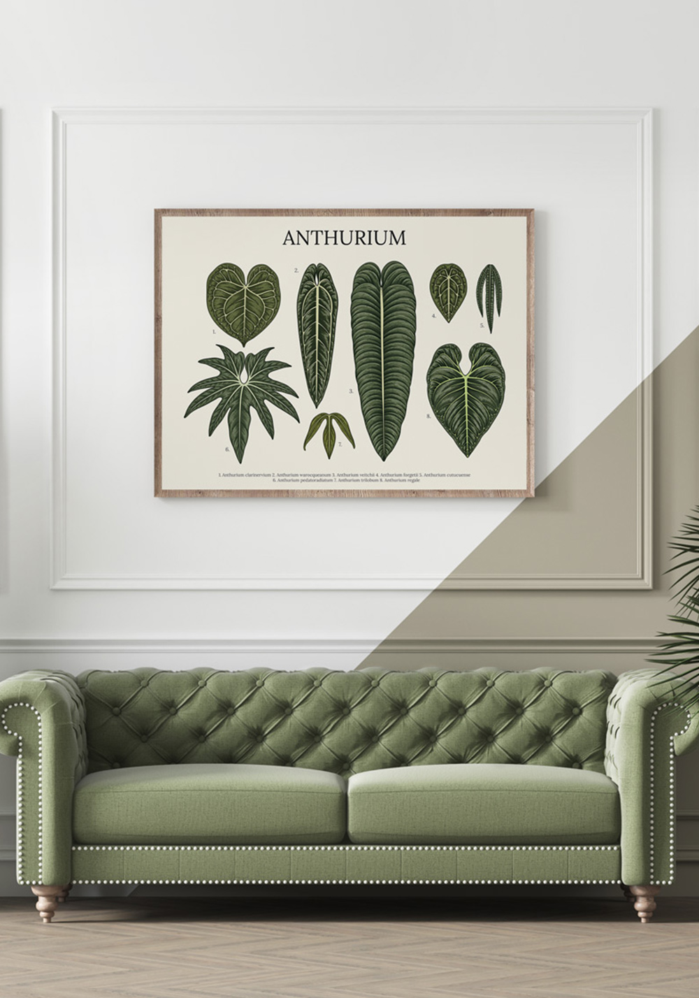 Poster planche Anthurium langue de feu plante tropicale Artcamia