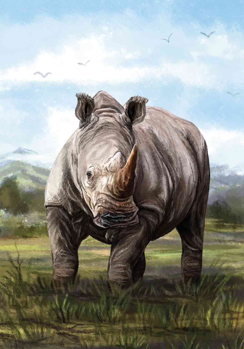 Affiche animal rhinocéros de la savane africaine, une corne Décoration murale entrée