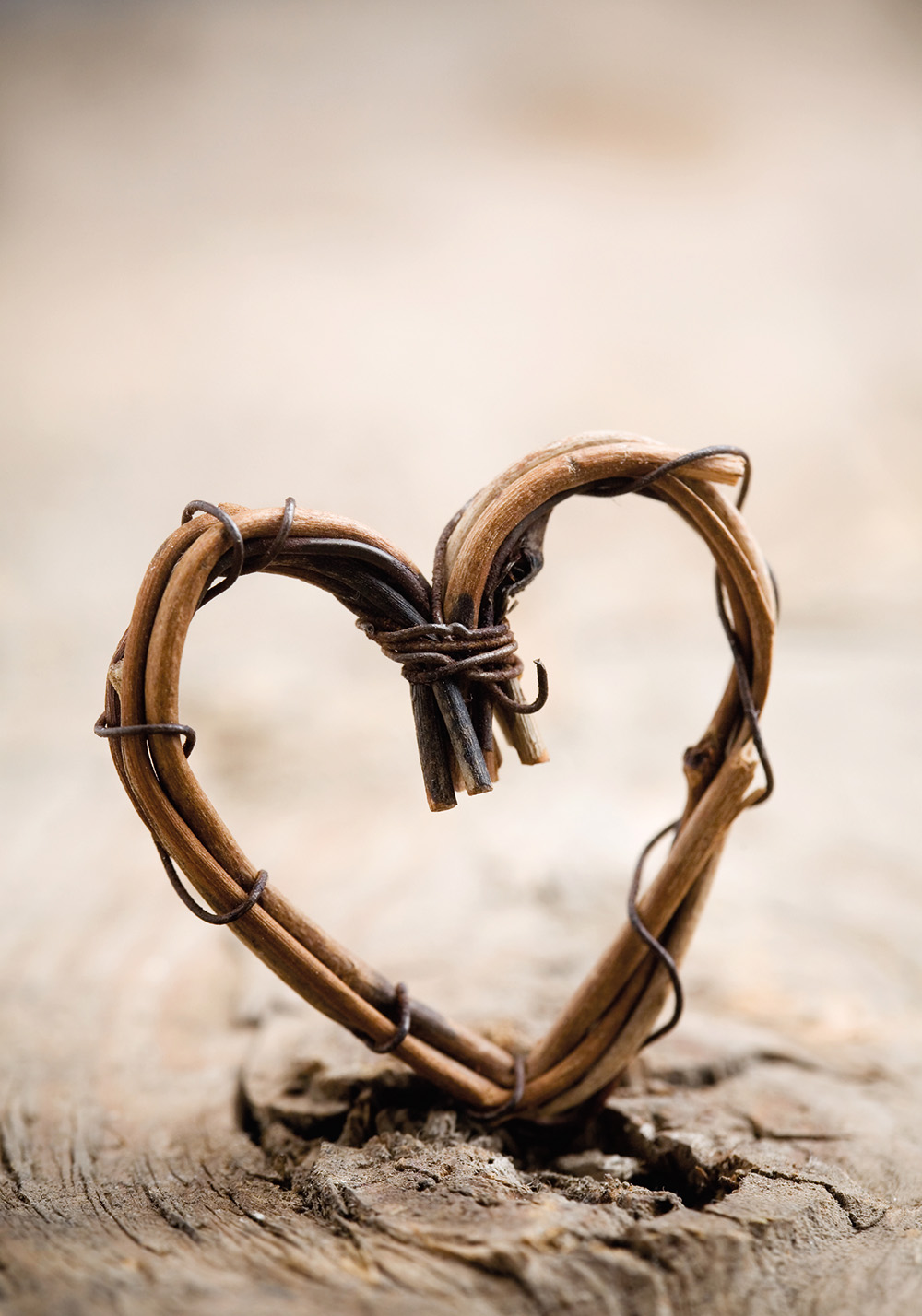 Au cœur des bois – Affiche amour