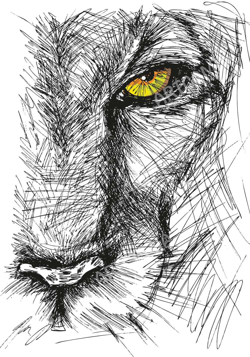 Affiche lion dessin