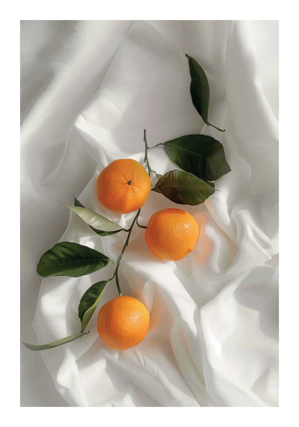 Affiche mandarines