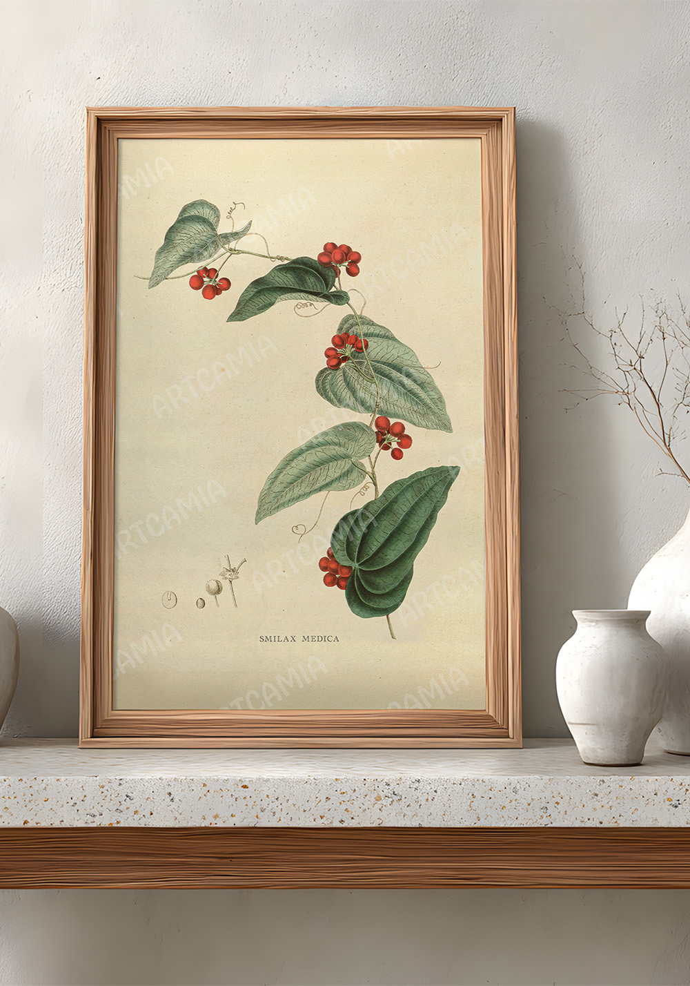 Affiche plante tropicale