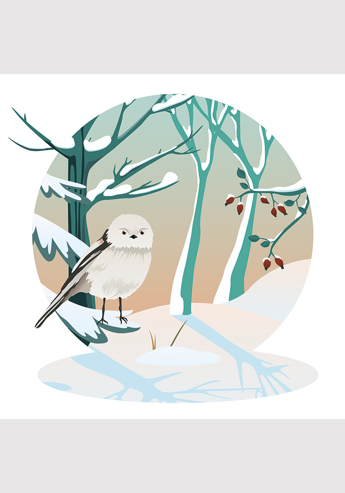Dessin oiseau hiver forêt nature poster chambre