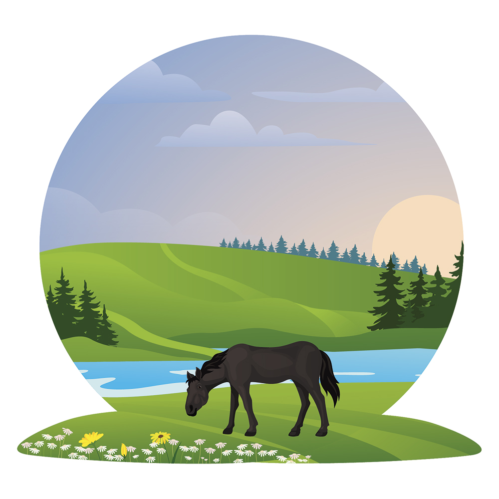 Illustration cheval qui broute dans son pré Poster Illustration cheval qui broute dans son pré Poster