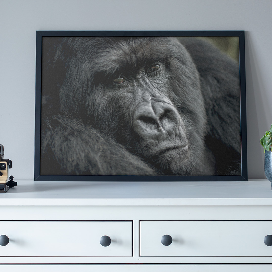 Poster gorille