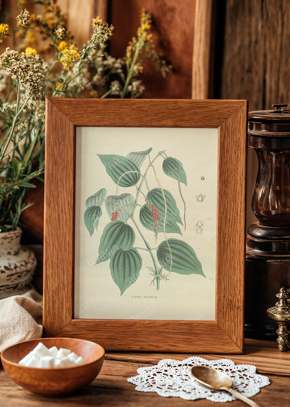 Poster plantes médicinales