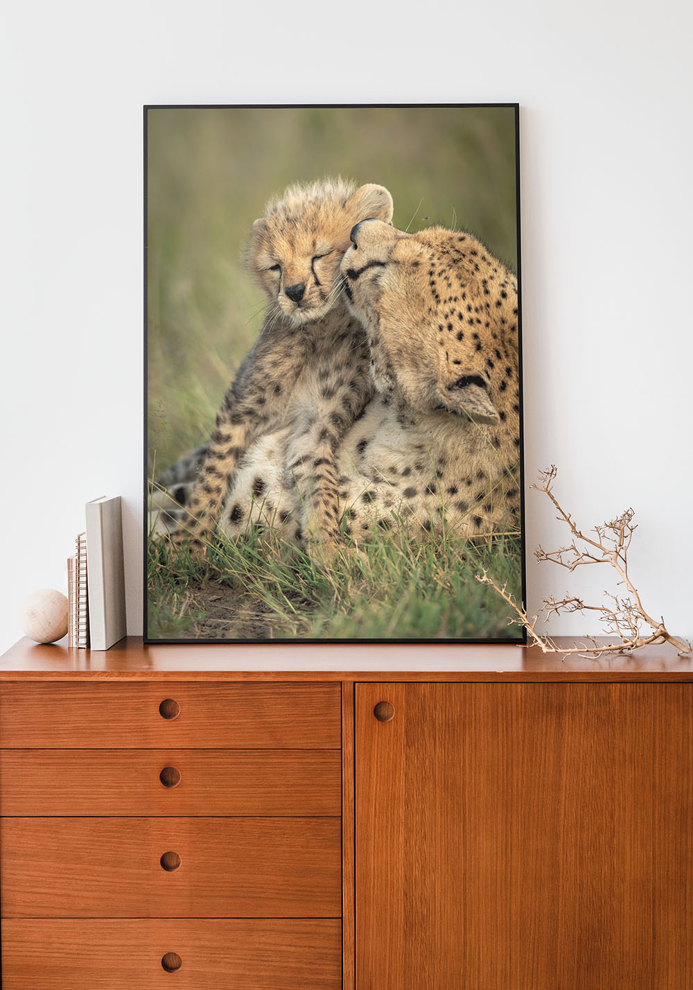 Poster savane